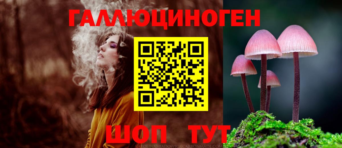 Псилоцибиновые грибы Psilocybine cubensis  Вход с VPN  Асино 