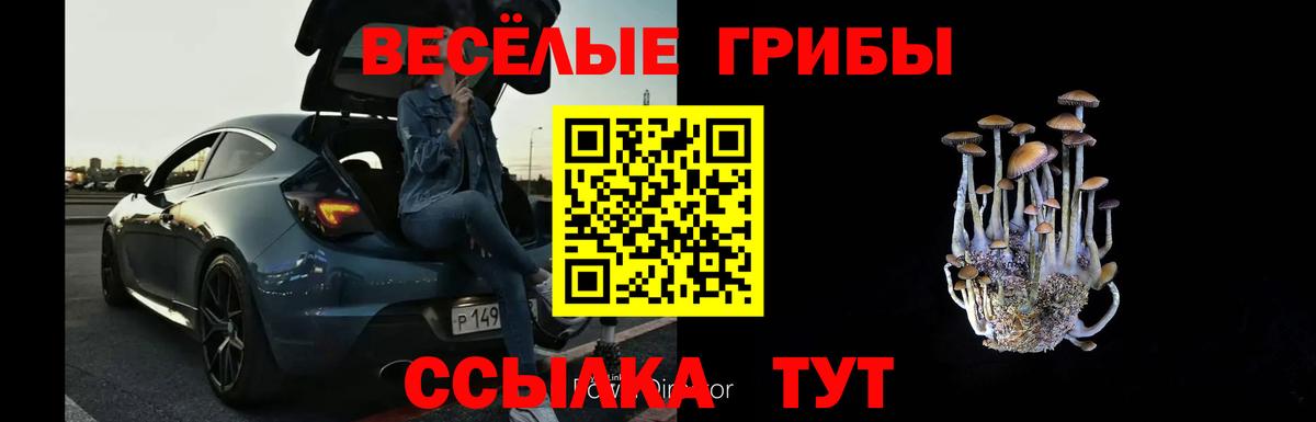 Альфа ПВП Асино